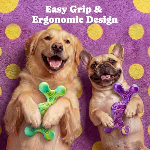 Kseroo Indestructible Dog Toy : 2 Pack Dog Toys for Aggressive Chewers, Bacon Flavor Nylon Hard Dog Chew Toys, Tough Dog Toys for Medium & Large Breeds 30-120 lbs, Durable Dog Toys to Keep Them Busy