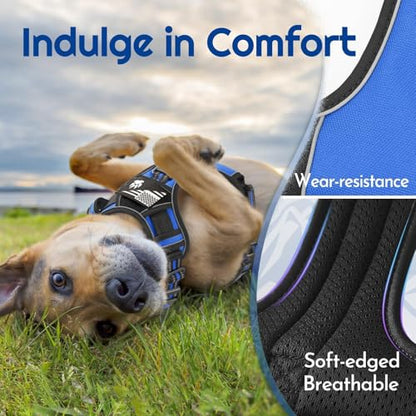 Eagloo Dog Harness Small Sized, Easy Wearing with 3 Buckles, Adjustable No Pull Pet Harness with 2 Rings for Walking, No Chock Reflective Soft Padded Vest with Control Handle, Blue & Black, S - color: Blue & Black, size: Small