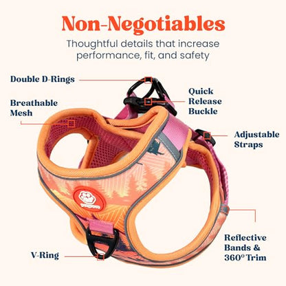 Step in Extra Small Dog Harness and Puppy Harness – No Pull No Choke Mesh Vest with Front & Back Clips for XS Small Breed Dogs (Sierra Mountains, XS) - color: Sierra Mountains, size: XS