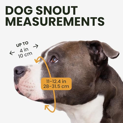 BRONZEDOG Pitbull Dog Muzzle Metal Mask Amstaff Wire Basket Pit Bull Adjustable Leather Straps for Large Dogs (Black) - color: Leather, Black Metal