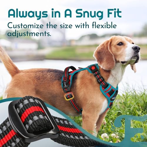 Eagloo Dog Harness Medium Sized, Easy Wearing with 3 Buckles, Adjustable No Pull Pet Harness with 2 Rings for Walking, No Chock Reflective Soft Padded Vest with Control Handle, Red & Teal, M - color: Red & Teal, size: Medium