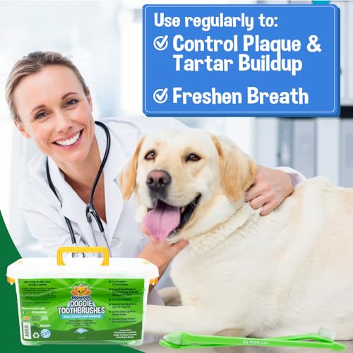 Bodhi Dog Dual-Headed Toothbrush for Dogs & Cats - Soft Bristles for Gentle Pet Dental Care - Puppy & Adult Teeth Cleaning - Easy-to-Use Design for Healthy Gums & Fresh Breath (100 Count) - size: 1 Count (Pack of 100)