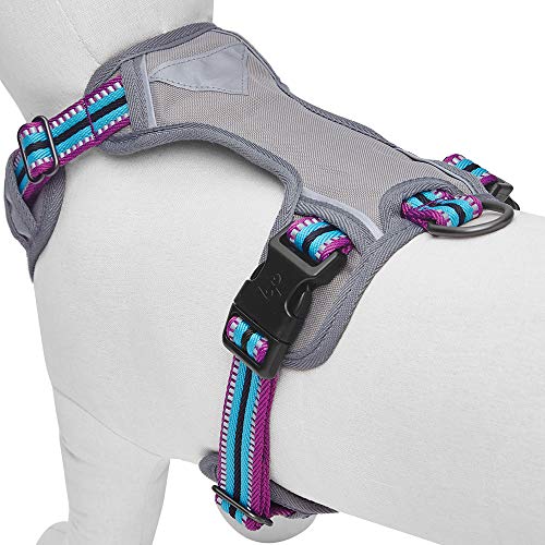 Blueberry Pet Dog Harness Soft & Comfy 3M Reflective Dog Harness Medium Sized Dog - color: Violet and Celeste, size: Small
