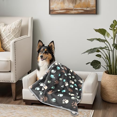 Tegeme 12 Pcs Pet Blankets 41 x 30 Inch Soft Fluffy Fleece Dog Cat Warm Paw Print Pattern Blankets Flannel Throw for Pets Dog Puppy Cat(Gray) - color: Gray, size: 41 x 30 Inch