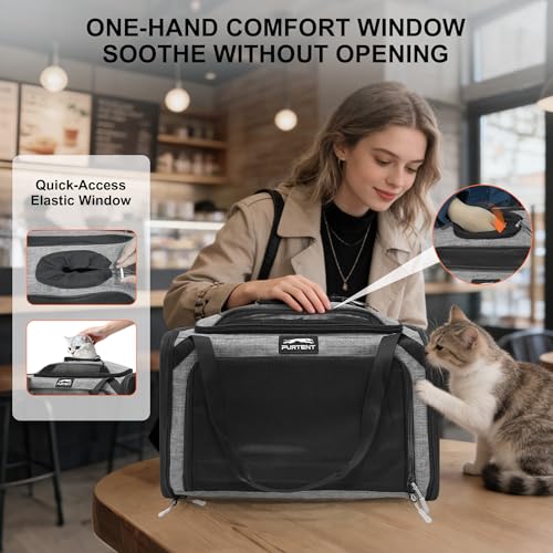 Cat Carrier Soft Expandable Pet Carrier Top & Sides Airline Approved Dog Carriers 360° Ventilation Soft-Sided Cat Carriers with Breathable Mesh Built-in Safety Leash & Reversible Cushion - color: Grey