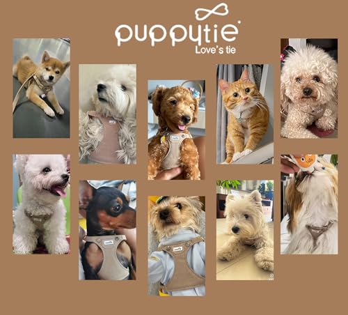 Puppytie No Pull Dog Harness with Multifunction Dog Leash,Soft Adjustable No Choke Escape Proof Pet Harness Vest for Medium Dogs,Denim Mocha Brown,M - color: Pocket-Brown, size: M