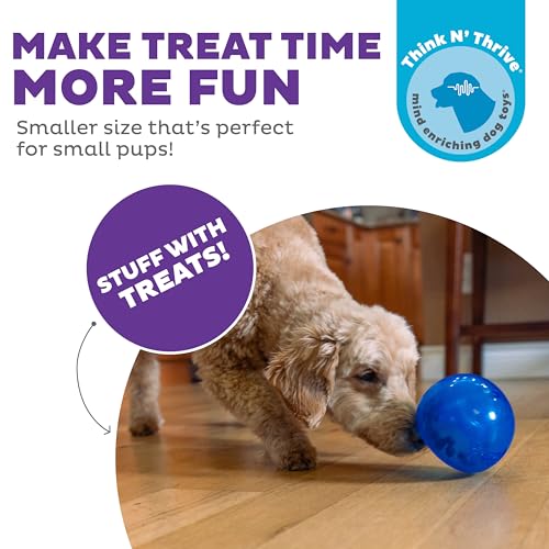 Outward Hound by Planet Dog Lil' Snoop Dog Toy – Treat‑Dispenser Puzzle Ball, Interactive Slow Feeder, Small to Medium Dogs, Bouncy & Mint-Infused, Blue, 3.9" - color: Blue Lil Snoop