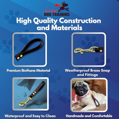 Biothane Training Tab Leash for Dogs, Brass Hardware, No Pull with Easy Grip Handle, Made in The USA, Professional Grade-Brown - color: Brown