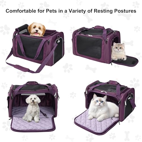 EliteField Deluxe Soft-Sided Pet Carrier (3 Year Warranty, Airline Approved), Travel Bag for Dogs, Cats & Small Pets, with Expandable Mat - color: Purple, size: Medium: 18"L x 11"W x 11"H