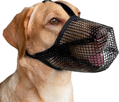 Mayerzon Dog Muzzle, Patented Mesh Muzzles for Small Medium Large Dogs, Soft Covered Mouth Guard with Adjustable Straps, Prevent Biting Chewing and Licking - size: XS+: Snout:7½"-8¼"