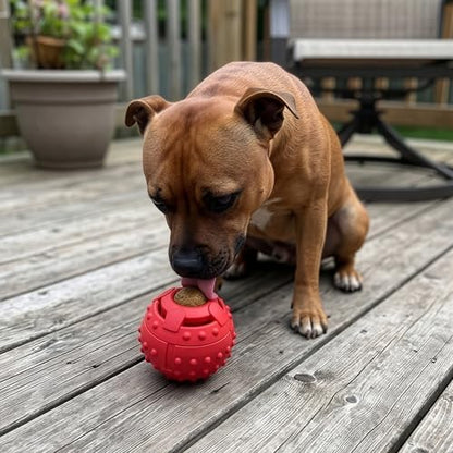 SPOT Seek-A-Treat Double Puzzle Ball Dog Toy, 3.25 in Durable Rubber Treat Dispenser with Dual Openings for Mental Stimulation & Long-Lasting Play, for Dogs up to 50 lbs