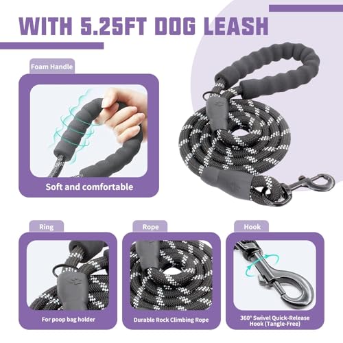 AUROTH Dog Harness and Leash Set, Soft Padded Service Dog Vest with 5.25FT Dog Leash, No Choke, Easy On Pet Vest, Adjustable Reflective No Pull Dog Harness for Large Dogs, Easy Walking and Training - color: Purple, size: Large