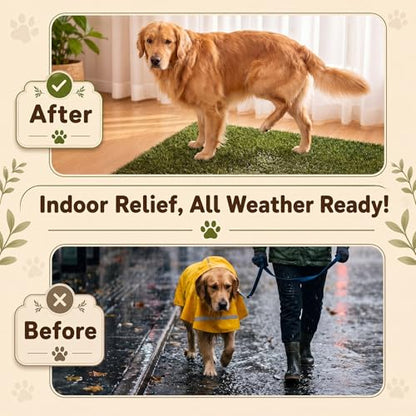 Fanfanwin 4 Pack Large Dog Grass with Washable Pee Pads 33"x23", 2 Artificial Grass for Dog Potty Training, 2 Reusable Puppy Pee Pad Absorbent Indoor Outdoor Pet Turf Patch for Apartment Balcony Patio - size: 33 x 23 Inch