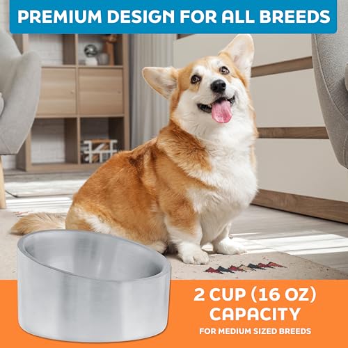 Master Pet Supply Stainless Steel Slanted Dog Cat Food Bowl - 16 oz Heavy Duty - Stainless Steel, Double Wall Insulated, Non-Slip Elevated Bowl for French Bulldogs Pugs Cats, Anti Rust Dishwasher Safe - color: Stainless Steel, size: 2 Cups (16 oz)