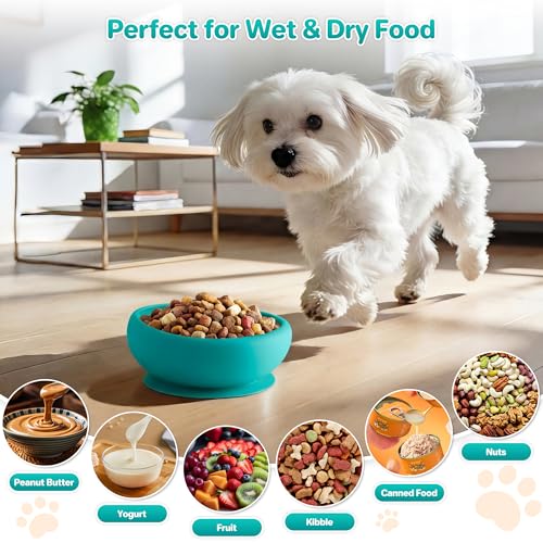 Dog Lick Bowl Slow Feeder with Slanted Anti-Spill Design, Extra-Thick Bite-Resistant Rim, Strong Suction Base, Freezer Safe for Frozen Treats — A Cleaner Alternative to Lick Mats for Dogs (Teal) - color: Teal