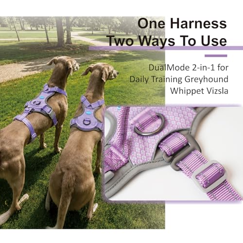 ThinkPet Flexfit 3-Strap Escape Proof Dog Harness, No Pull Front Clip 2-in-1 Vest with Control Handle, 360° Reflective Breathable Adjustable Harness for Greyhound Whippet Vizsla, Large, Purple - color: Purple, size: Large