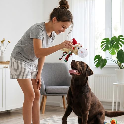 Dog Toys for Small Medium Dogs - Squeaky Hippo Plush Dog Toys with Crinkle Paper, Cotton Ropes for Tug Games - color: Christmas Hippo