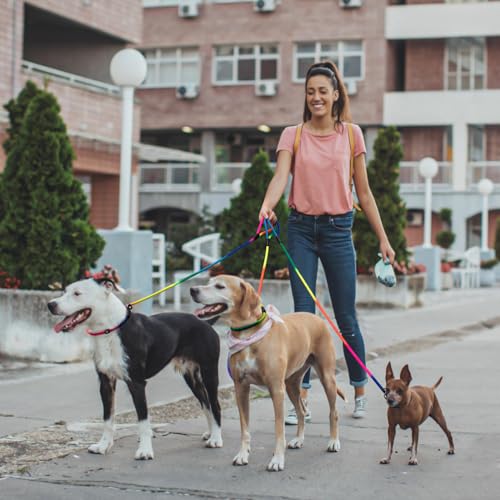 FOVRLZSE 3-Pack Adjustable Rainbow Dog Slip Leads Multi-Color, 5FT Reflective Nylon – No Collar Needed, No-Pull, Ideal for Small/Medium Dogs (Training/Walking) - color: Rainbow