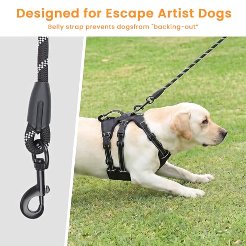 Escape Proof Dog Harness and Leash Set,Soft Padded Full Body Pet Harness, No Pull Reflective Adjustable Dog Vest with Handle, Easy Control Dog Harness for Medium Large Dogs Training Walking Running - color: Black, size: L