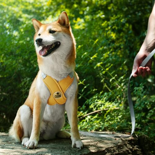 Patas Lague Dog Harness with Leash Set Adjustable Soft Padded Step-in Dog Vest No Choke No Pull Reflective for Small Medium Pets with Poop Bags and Dispenser, Solid and No-chew, Yellow S - color: Yellow, size: S (Neck 18.1-21.2'' Chest 21.2-25.2'')