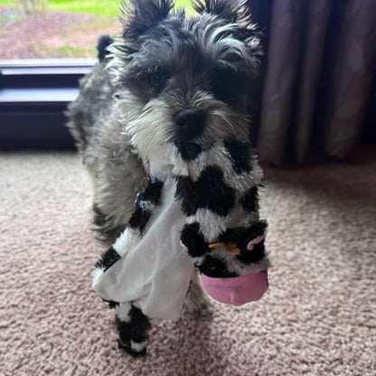 SPOT Skinneeez Crinklers Cow - Stuffing-Free Dog Toy with Crinkle & Squeaker Sounds, Durable for Moderate Chewers, Tug Toy for Small Dogs & Puppies, 14in - style: Small Cow