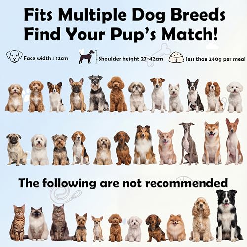 Elevated Slow Feeder Dog Bowls - Ceramic Food and Water Bowl Set with Stand - Raised Pet Dishes for Small and Medium Sized Dogs - color: Pink