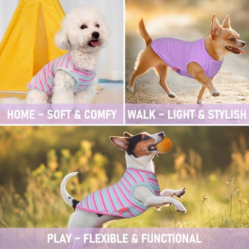 KYEESE 2Pack Dog Shirt, Soft Striped Dogs T Shirts, Lightweight Doggie Tank Top Cat Clothes, Sleeveless Dog Shirt for Small Dogs, Stretchy Pet Vest, Purple+Blue Striped, Small - color: 04# 2Pack (Purple+Purple Striped), size: Small (4-7lbs)