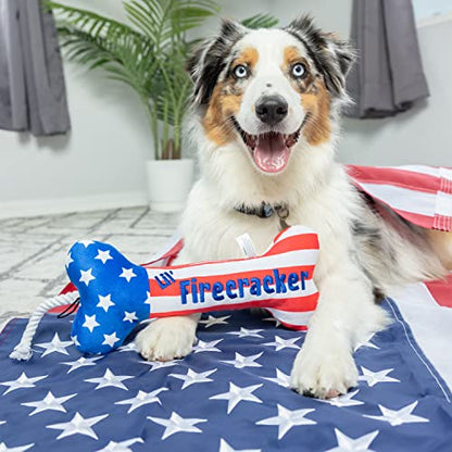 Huxley & Kent for Dogs | Lil' Firecracker Bone (Large) | 4th of July Funny Dog Toy | Power Plush Dog Toy with Squeaker | Dog Gift | Fun, Durable, and Safe | H&K Squeaky Dog Toy - size: Large
