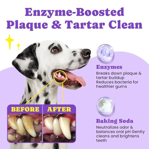 No-Rinse Dog Dental Care Wipes, Cat & Dog tooth brushing kit, Dog Wipes for Pet & Cat Teeth Cleaning, Dog toothbrush Finger Dental Wipes to Remove Plaque & Tartar, Disposable Dog Wipes - 50 Count - color: 1.Dental - Unscented, size: 50 Ct
