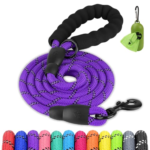 Joytale Dog Leash for Large Dogs, Heavy Duty Nylon Leashes with Comfortable Padded Handle and Highly Reflective Threads, Ideal for Walking and Training, Purple, 5'×1/2'' - color: Purple, size: 5FT×1/2'' (20~120 lbs)
