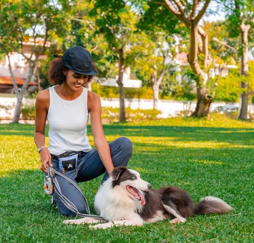 OllyDog, Goodie Treat Bag, Dog Treat Training Pouch | Magnetic Closure | 3 Ways to Wear | Hands-Free Waist Belt | Water-Resistant Recycled Vegan Fabric (Blue Heron) - color: Blue Heron