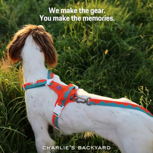 Charlie’s Backyard Teton Dog Leash, Urban to Trail 6 FT Heavy-Duty Lead Adjustable Length Hands-Free Waist-Worn, Ultra-Light Aluminum Hook, Comfort Handle with Poop Bag Clip, Sunset Peaks - color: Sunset Peaks