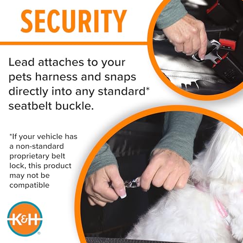 K&H Buckle N Go Dog Car Seat, Waterproof Fabric, Breathable Mesh Sides, Adjustable Seatbelt Leash, Pet Car Seat for Medium to Large Pets- 21 X 19 X 19in - color: Gray, size: Large 21 X 19 X 19 Inches