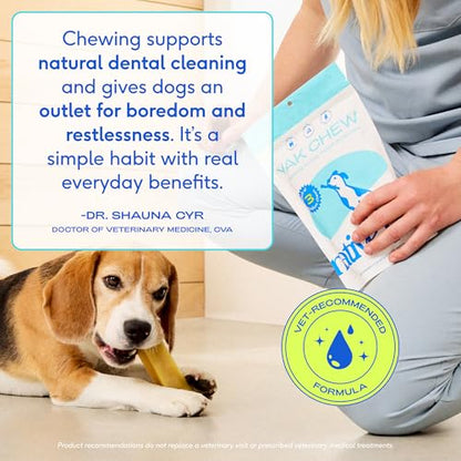 Native Pet Yak Cheese Himalayan Dog Chews - Long Lasting Dental Sticks for Small Breeds– 100% All Natural Himalayan Yak Chews for Small Dogs – Cheese Bone for Aggressive Chewers - 15 Per Pack - size: 15 Chews