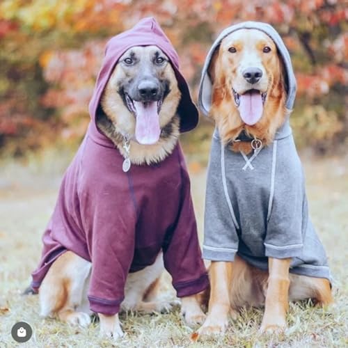 Blueberry Pet Dog Hoodie – 14″ Soft Cotton‑Blend Sweater for Small Dogs, Burgundy Red, Award‑Winning Frenchie Apparel - color: Dog Hoodie - Burgundy Red, size: 14 inch (Pack of 1)