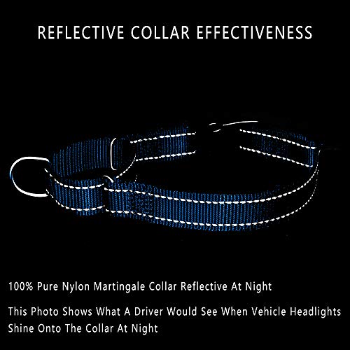 PLUTUS PET Reflective Martingale Collar with Quick Snap Buckle,No Pull Dog Choker Collar for Small Medium Large Dogs,XS,Blue - color: Blue, size: XS：10"-12"