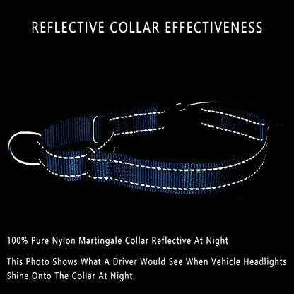 PLUTUS PET Reflective Martingale Collar with Quick Snap Buckle,No Pull Dog Choker Collar for Small Medium Large Dogs,XS,Blue - color: Blue, size: XS：10"-12"