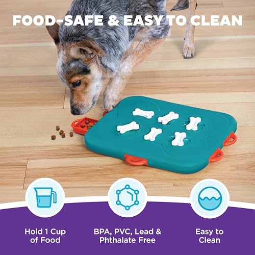 Outward Hound by Nina Ottosson Dog Casino Treat Puzzle Enrichment Toy, Level 3 Advanced, Turquoise - color: Dog Casino (Blue, Orange)