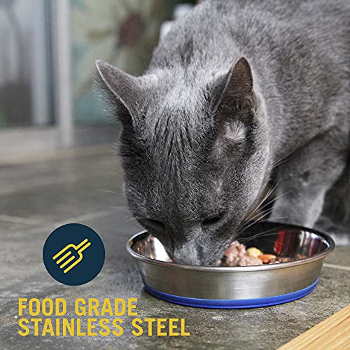 Our Pets DuraPet Stainless Steel Non-Slip (Cat Food Bowl or Water Bowl) (Holds up to 1 Cup of Wet or Dry Food) Easy to Clean | Holds wet or dry meals, easy to rinse clean, grippy base keeps it in place during mealtime, durable everyday feeding dish
