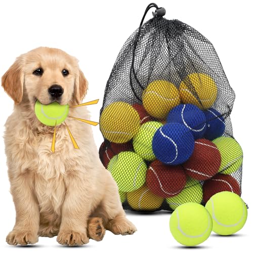 Magicorange Dog Tennis Balls, 20 Pack 2.5 inch Floatable Squeaky Tennis Balls for Fetch Exercise, Natural Rubber Squeaky Dog Balls Training Safe (Multicolor) - color: Multi-colored, size: 20 Pack