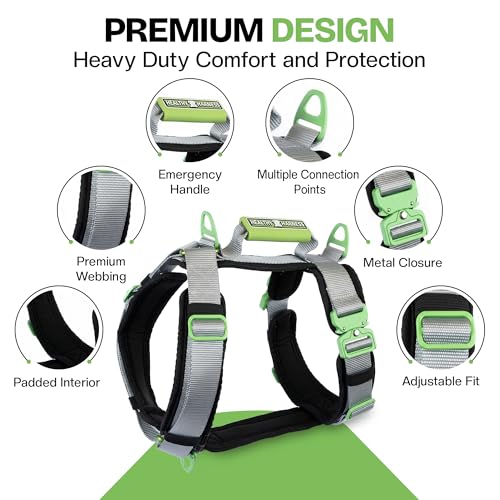 Ultimate Urban Dog Harness - Heavy Duty Design, No Choke, No Pull. Adjustable, Comfy Padding, Easy On/Off, Metal Hardware, Emergency Handle and 3 Connect Points (Silver, XXL) - color: Silver, size: XXL