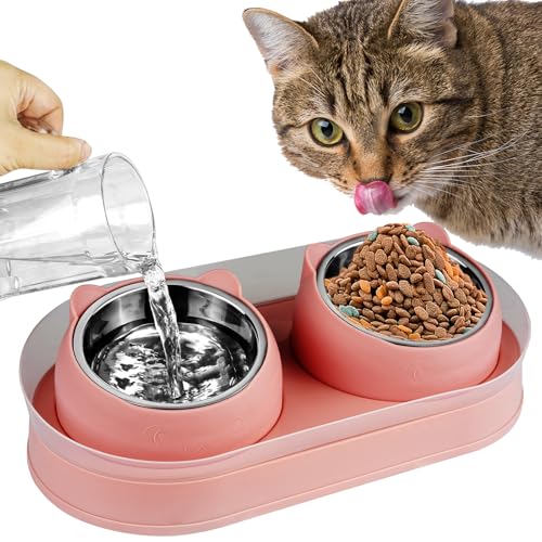 Elevated Cat Food Bowls, Raised Cat Bowl with Stand Stainless Steel, Tilted Bowls Anti Vomiting, Double Cats Food and Water Bowl Set for Cats (Pink) - color: Pink