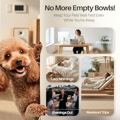 Flexzion Automatic Pet Feeder & Waterer Set of 2 Pack, Self Feeding Replenish Dog Cat Bowls, Gravity Food & Water Storage Container Fountain Jug Pet Supplies Plastic Skid Proof Rubber Feet (1 Gallon) - color: Waterer + Feeder, size: 4-6 lb Feeder (1 Gallo