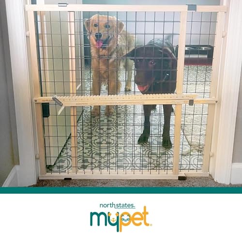MYPET Wire Mesh Dog Gate: 29.5"-50" Wide, Pressure Mounted with No Tools; Expandable, Durable Pet Gates for Doors and Hallways, 31" Tall, Made with Sustainable Hardwood - size: 29.5"-50" Wide, 31" Tall