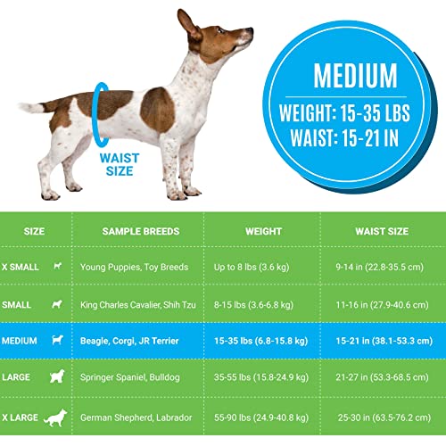 Bodhi Dog Disposable Male Dog Diapers - Super Absorbent, Leak-Proof Pee Wraps - Adjustable Fit, Comfortable Design, Advanced Moisture Control, and Wetness Indicator - Medium (20 Count) - size: Medium