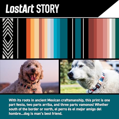 Wolfgang Heavy Duty, Adjustable Dog Collar with Quick Release Nylon Buckle for Walking & Training, LostArt Print, Small - color: LostArt Print, size: Small (5/8 Inch x 8-12 Inch)