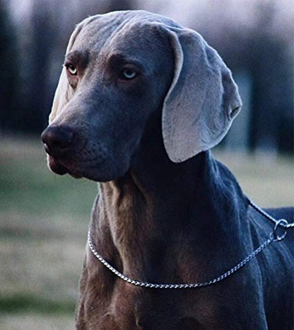 SGODA Silver Dog Chain Collar Choke Pet Training Snake Collar with Heavy Links, 16 in, 3 mm - color: Silver