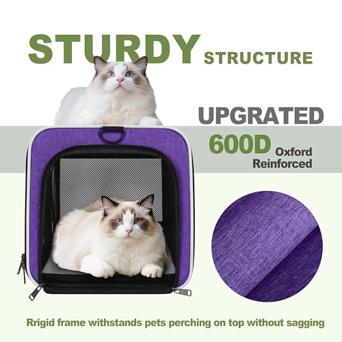 GAPZER Per Carrier for Cat 18x11x11 Inch FAA Complaint, Kitten Taxi Top Load Soft Cloth Bag, Small Animal Portable in Cabin Crate Shih Tzu Dog Kennel Carry Case, 4-Sided-Ventilated Kitty Purse Purple - color: Purple