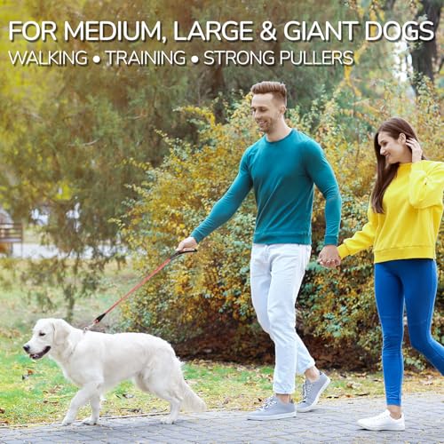 Rope Dog Leash 4 FT, 1/2 Inch Heavy Duty Round Dog Leash with Soft Padded Non-Slip Handle, Reflective Nylon Rope & Strong Metal Clip for Medium Large Giant Dogs,Black