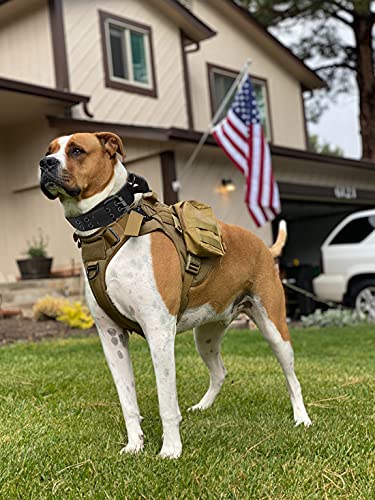Tactical Dog Collar with Handle - Military Adjustable Dog Training Collar Soft Nylon and Heavy Duty Metal Buckle for Medium Large Dogs - with Patch (Green with Patch, Large) - color: Green with Patch, size: Large